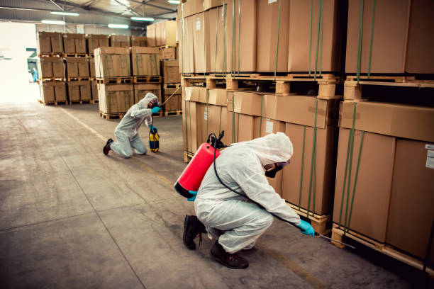 Best Cockroach Control Services  in Hasbrouck Heights, NJ