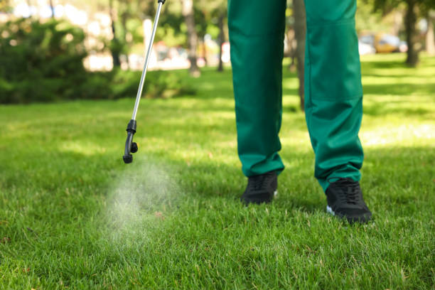 Best Termite Control Services  in Hasbrouck Heights, NJ