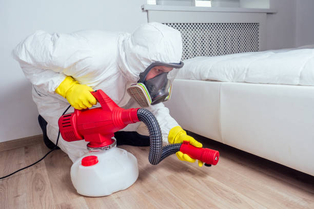 Best Affordable Pest Control Services  in Hasbrouck Heights, NJ
