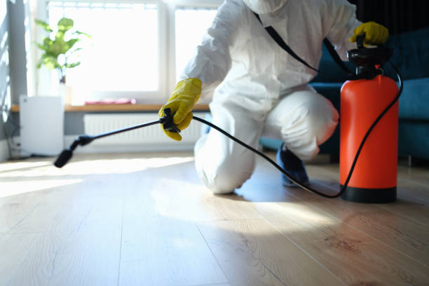 Best Local Pest Control Services  in Hasbrouck Heights, NJ