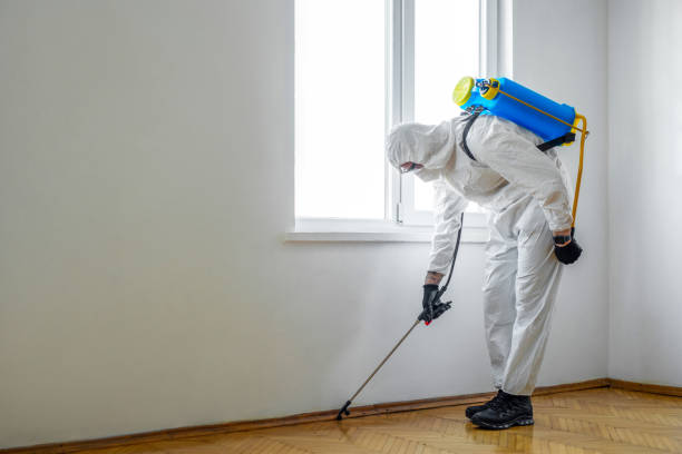 Best Affordable Pest Control Services  in Hasbrouck Heights, NJ