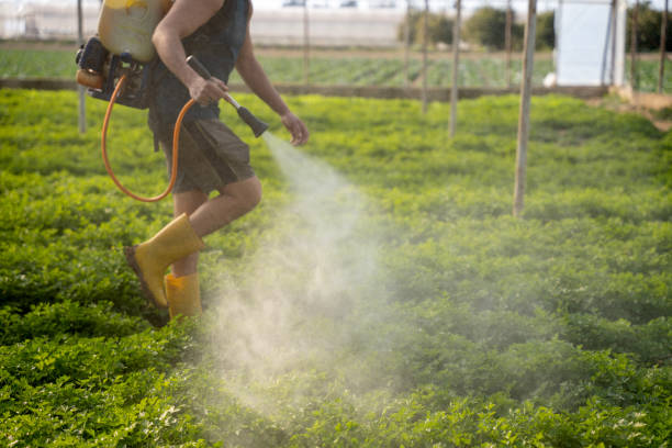 Best Affordable Pest Control Services  in Hasbrouck Heights, NJ