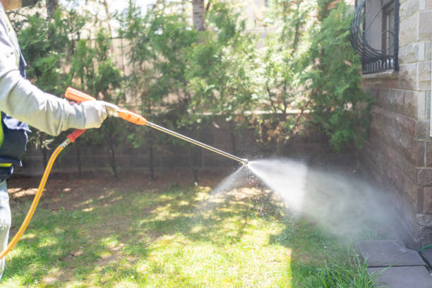 Best Termite Control Services  in Hasbrouck Heights, NJ