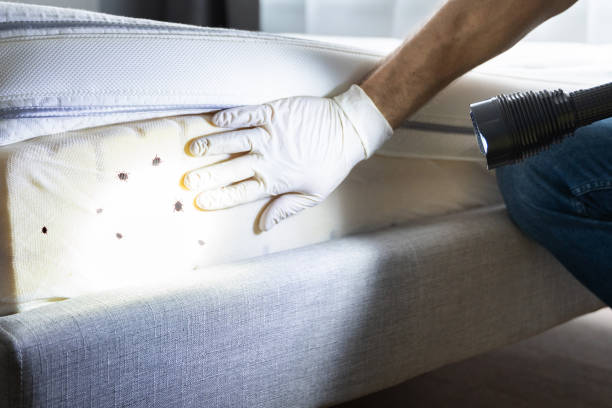 Best Insect Control  in Hasbrouck Heights, NJ