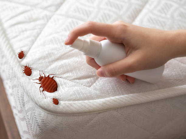 Best Best Pest Control Companies  in Hasbrouck Heights, NJ