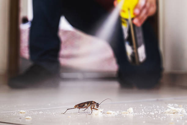 Best Mosquito Control Services  in Hasbrouck Heights, NJ