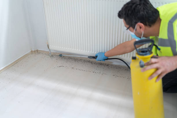 Best Flea Control Services  in Hasbrouck Heights, NJ
