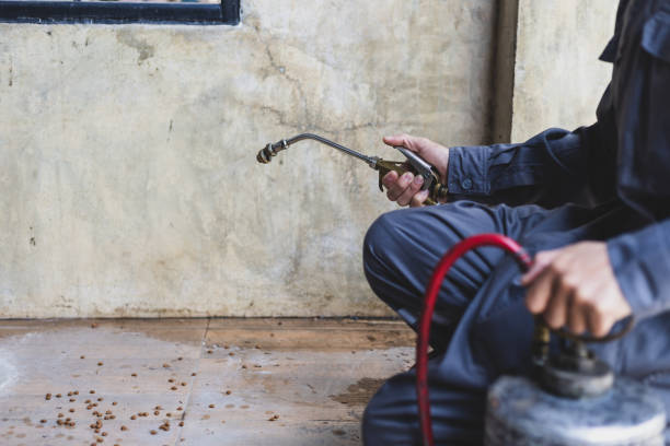 Best Wasp Removal Services  in Hasbrouck Heights, NJ