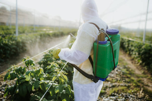 Pest Prevention Services in Hasbrouck Heights, NJ